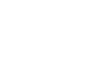 Challenge to change logo